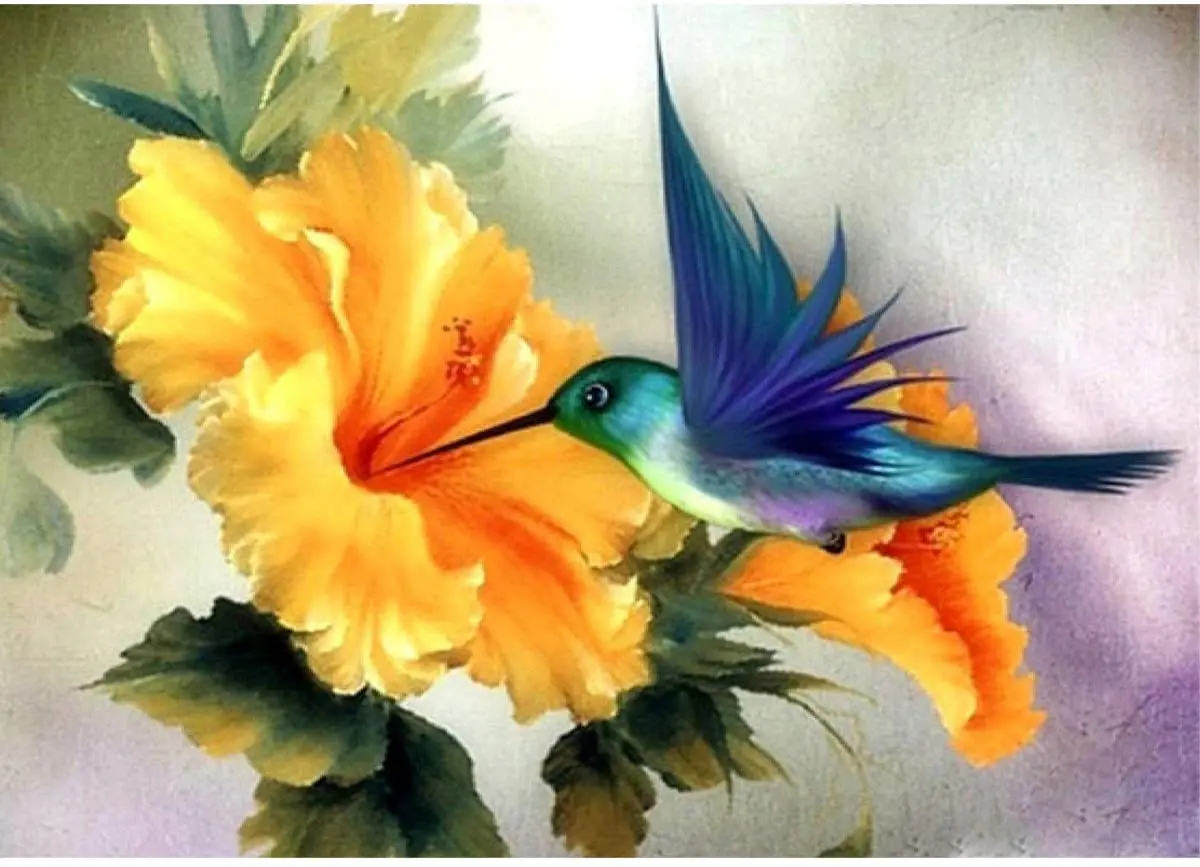 

Paint By Number Hummingbird DIY Oil Painting Paint By Number Kit for Kids Adults Students Beginner Acrylic Decoration 16x20 In