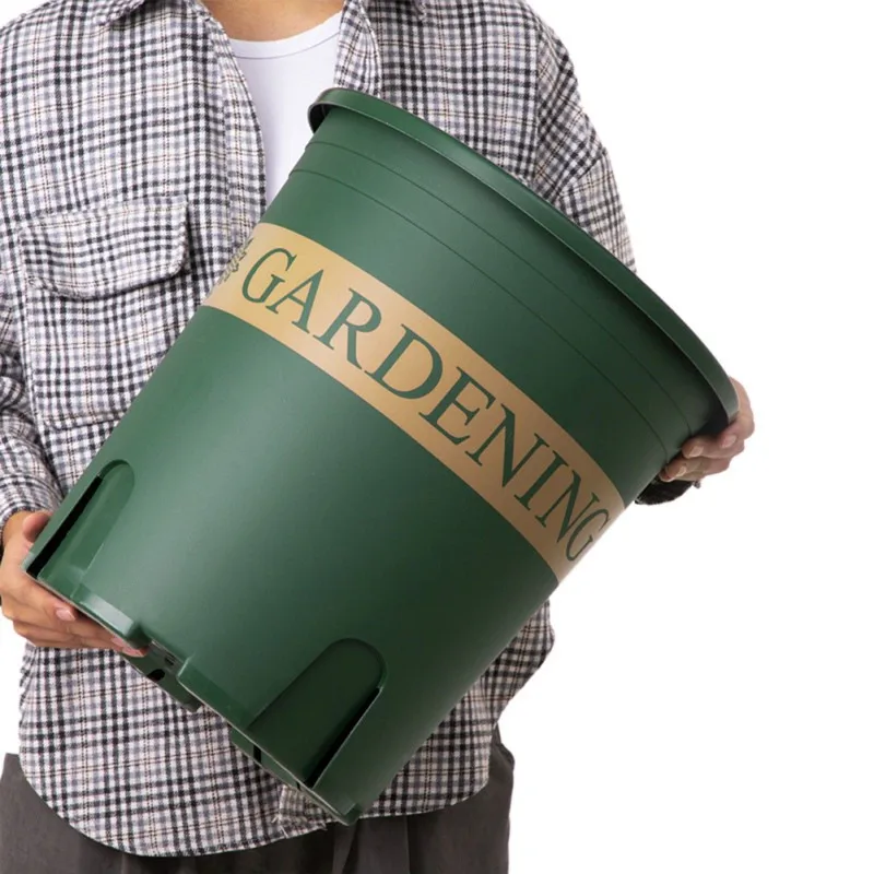 Массивный корень контролируемый горшечный круглый розовый черный посадки