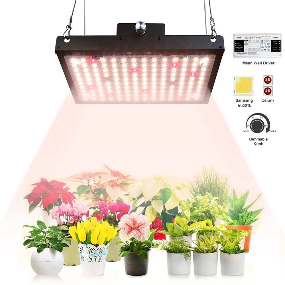 Superbright Samsung LM301B Dimmable Quantum LED Grow Light Board 140W 3000K 3500K 5000K With Meanwell Driver Plant Growing Lamp