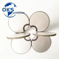 50*3mm Heat Resistance Piezoelectric Ceramic Discs Pzt4