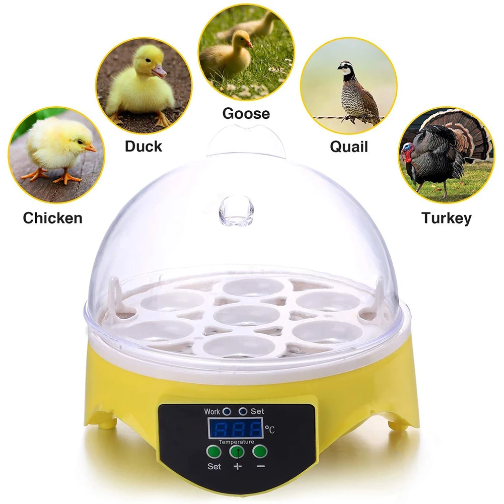 

7 Eggs Chicken Bird Incubator Eggs Hatching Machine Automatic Intelligent Temperature Control Quail Parrot Brooder Farm Supplies