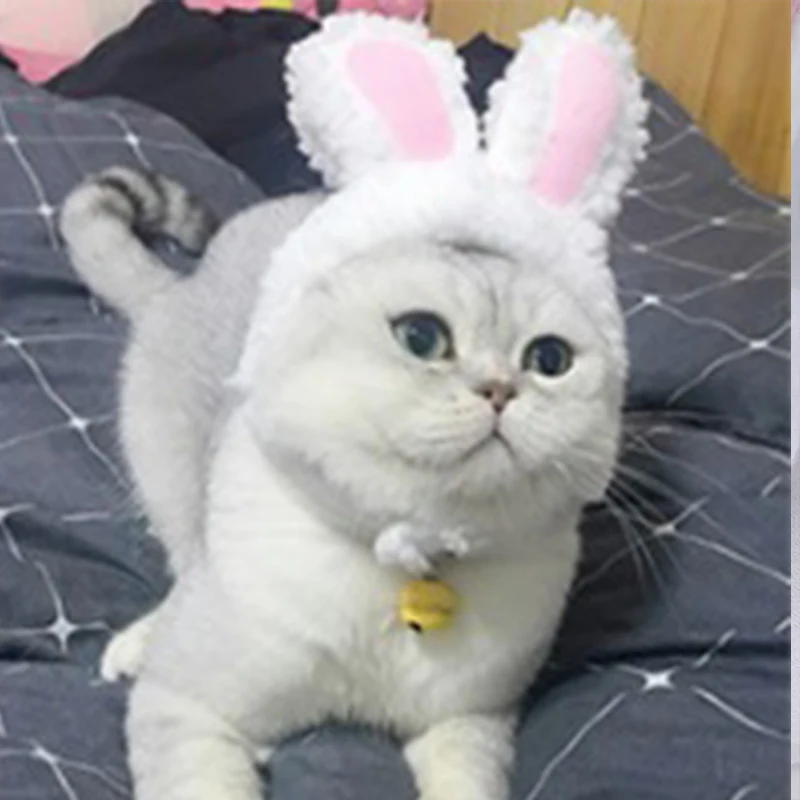 Кошка Шляпа кошка Хэллоуин Рождественская Одежда Необычное платье с ушками