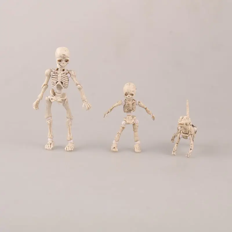 

Color box Pose Skeleton Mode PVC Figure Toy Human Child Dog Skeleton Body Chan Body Kun