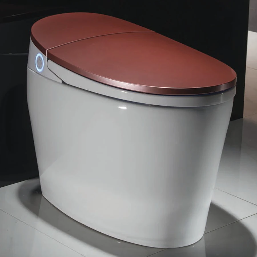 

European style new smart bidet toilet