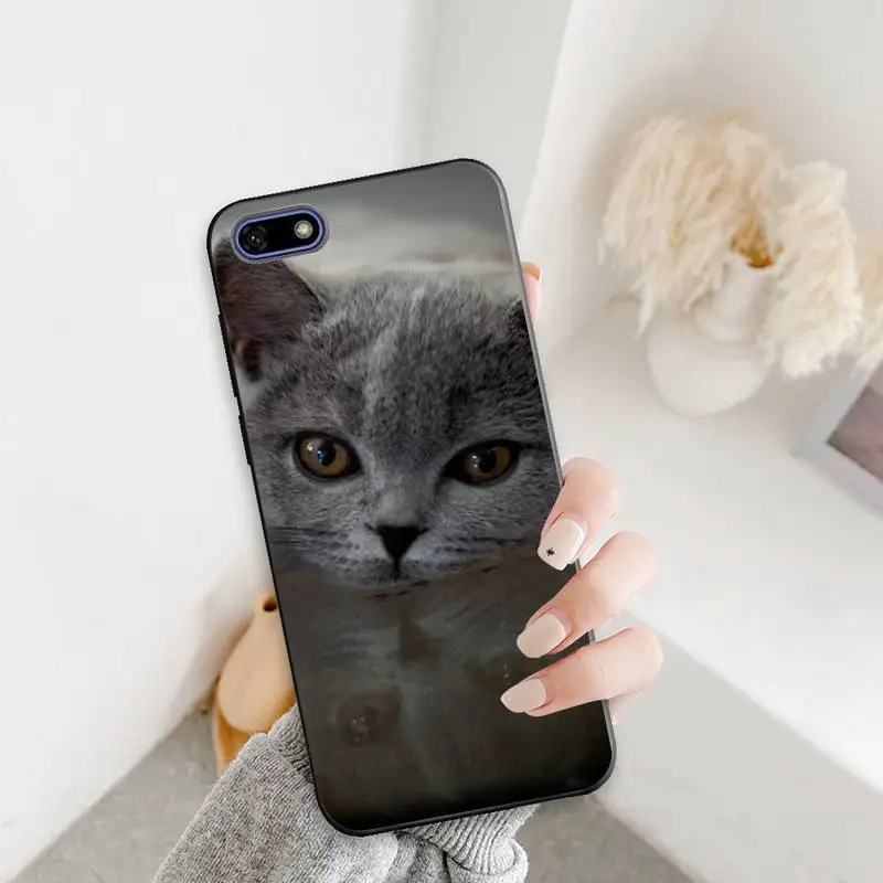 

British shorthair cat Phone Case for redmi note10 9 8 pro 6A 4X 7 7A 8A 5Plus 4 5 7 8T cover coque