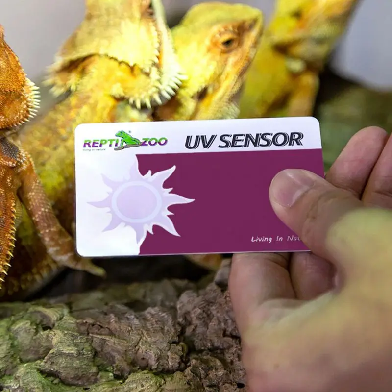 Террариум для рептилий UVB Тестовая карта UV светильник Lamp Life Test s Paper 2