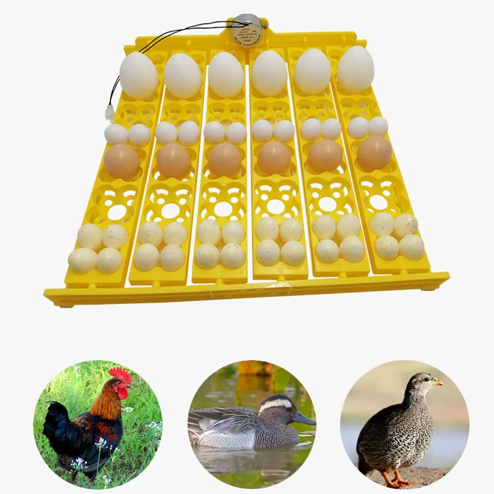 

Multifunction 36 Plastic Bird Eggs Duck Chicken Eggs Hatching Machine 220V Incubator Trays with Auto Turn Motor