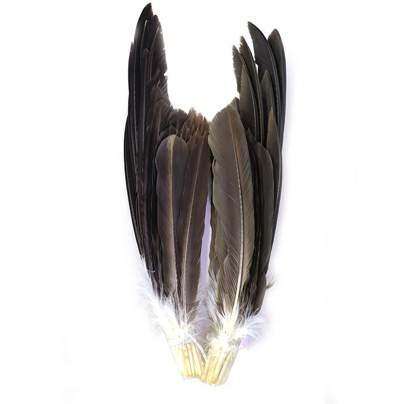 

1 set/72pcs Real Natural Eagle Feathers for Decoration Turkey Pheasant Feathers for Crafts Carnival Accessories Feather Decor