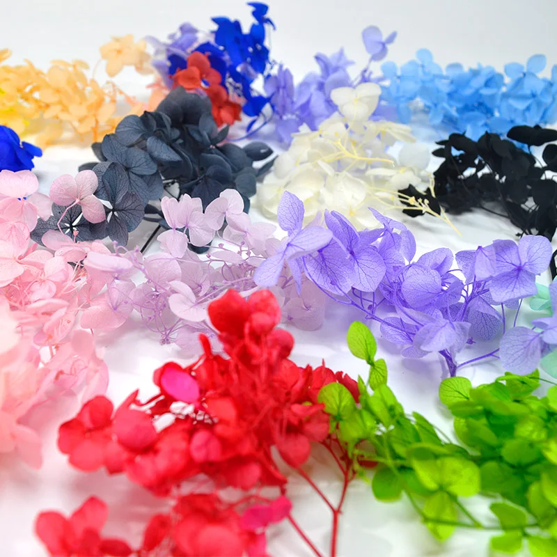 1 коробка Гортензия вечная сухой цветок DIY Эпоксидной смолы ручной работы