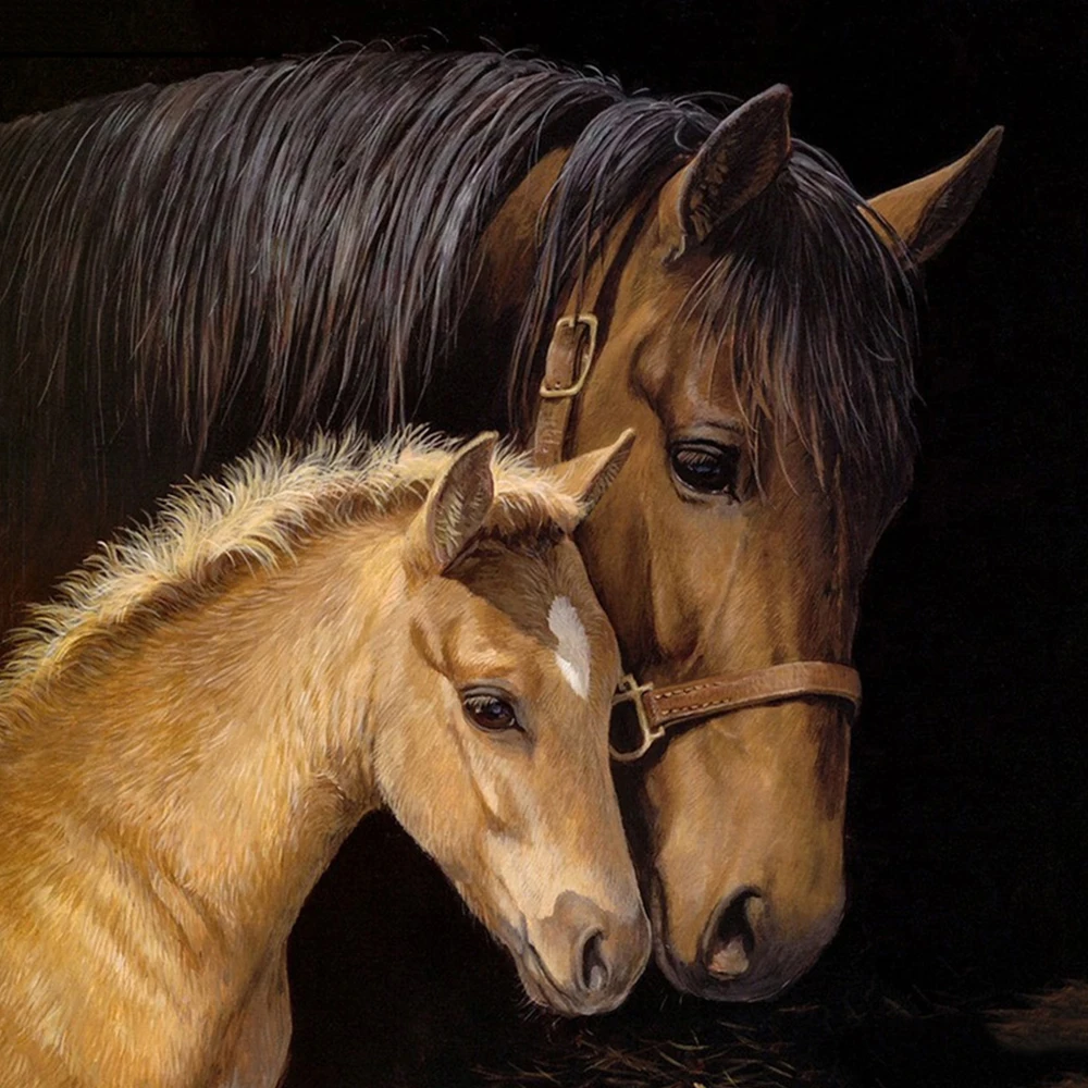 

Алмазное украшение для рукоделия 5D, домашнее украшение для животных 3D, украшение для подарка