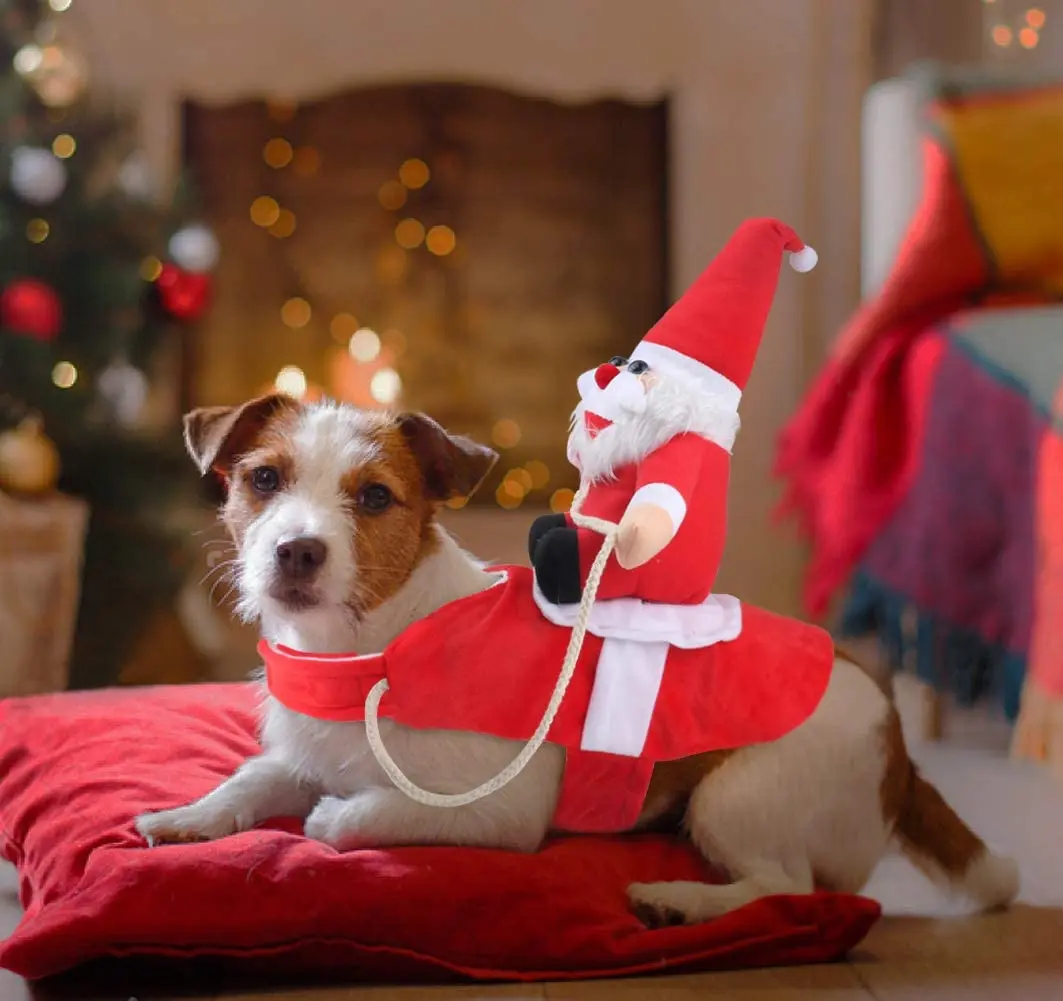 

Christmas Pet Clothes Cat Costumes Pet Supplies Santa Claus Clothes Small Medium Large