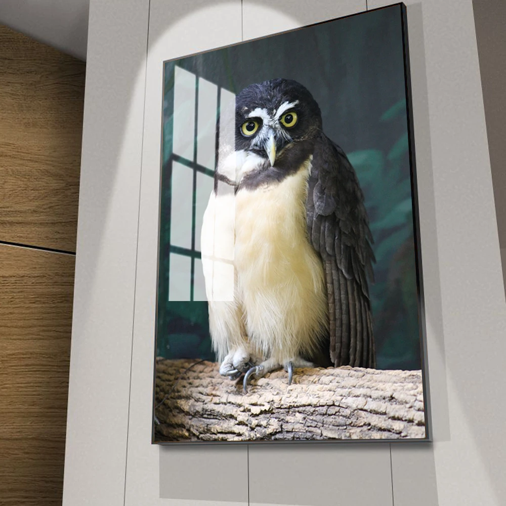

Animal oil painting eagle and canvas painting office living room corridor home decoration mural
