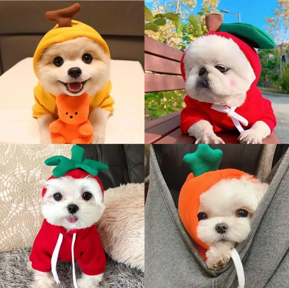 Fruit turned into a dog cat small and medium-sized fleece sweater Teddy Yorkshire Bichon funny | Дом и сад