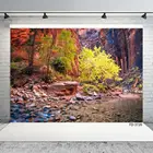 Камень Горный потоки фон для фотосъемки с изображением осенью природа декорации на виниловой основе для детей портретный Фотофон фото студия