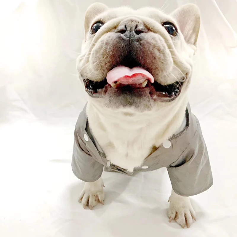 

Модная красивая Светоотражающая куртка для домашних животных, толстовка с капюшоном, рубашка с французским бульдогом, одежда для чихуахуа, ...