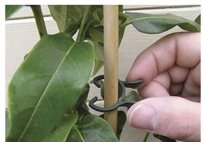 

100 шт., зажимы для растений