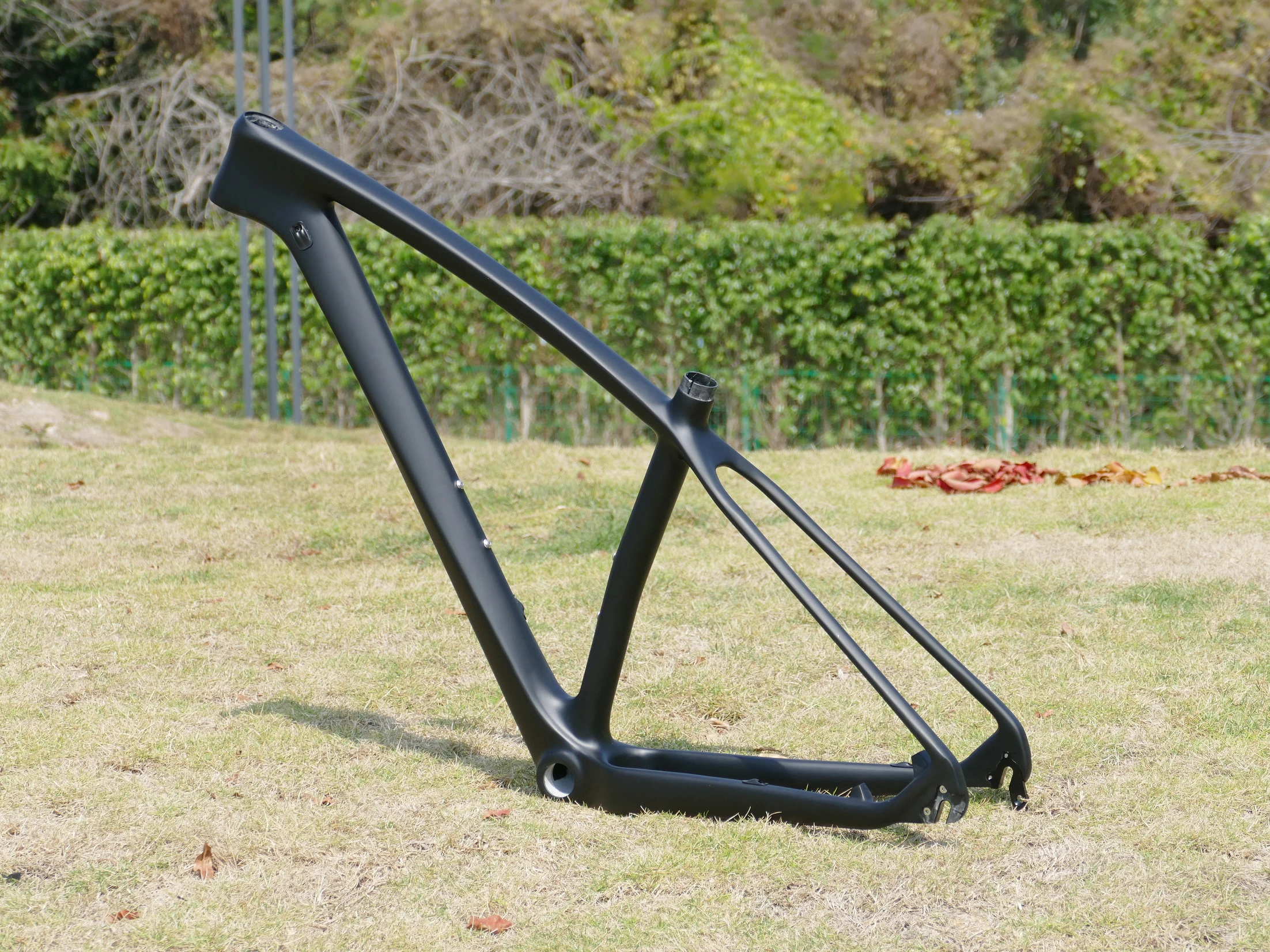 Совершенно новый полностью карбоновый UD матовый горный велосипед FLYXII MTB 29ER