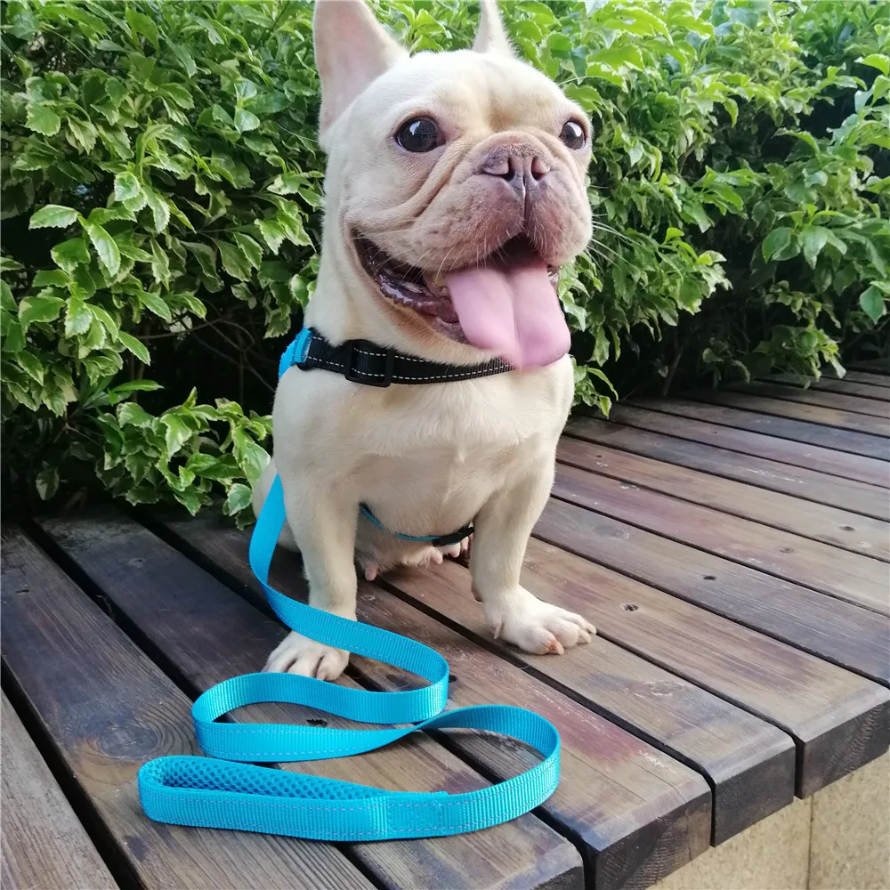 Поводок для собак 120 см/150 см прочный Светоотражающий прогулок большой средних и