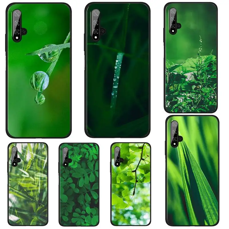 

Green Small Fresh Eye Care Phone Case For Huawei Honor Y 7 2019 6p 8s 20 30 Pro 9 S Psmart V30 Pro Honor8 9 10 Lite Simple