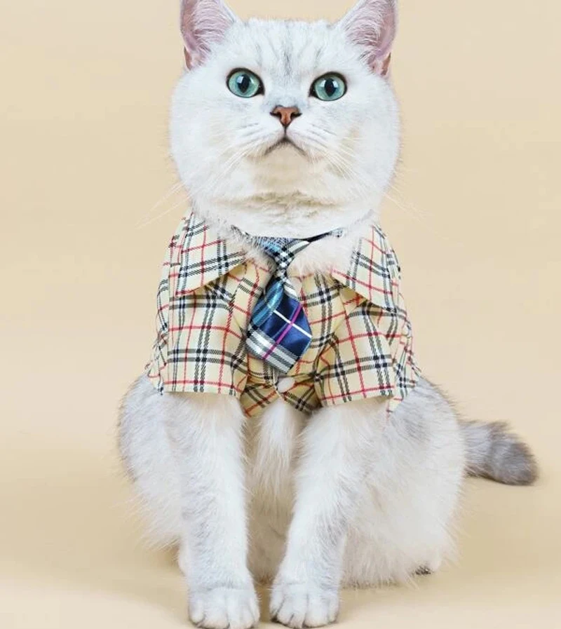 

Dog Neckties Adjustable Dog Bow Ties Birthday Photography Festival Party Neckties Pet Costume Necktie Collar Grooming Accessori