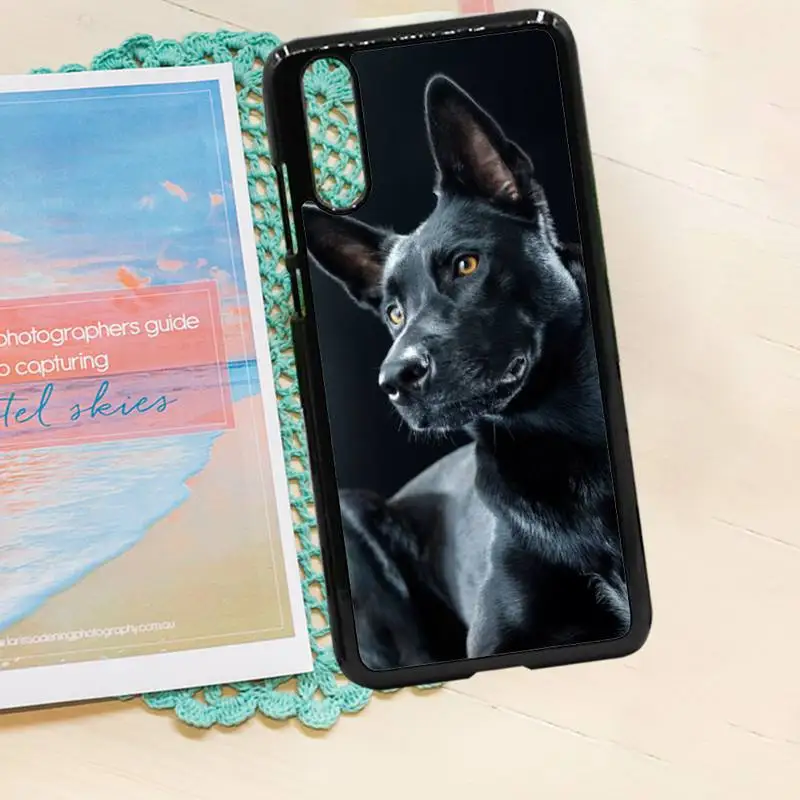 

Pit Bull Lovely Dog Pitbull animal Phone Case PC for iPhone 11 12 pro XS MAX 8 7 6 6S Plus X 5S SE 2020 XR