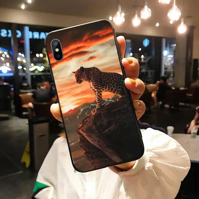 

cheetah grassland horror animal Phone Case for iPhone 11 12 pro XS MAX 8 7 6 6S Plus X 5S SE 2020 XR