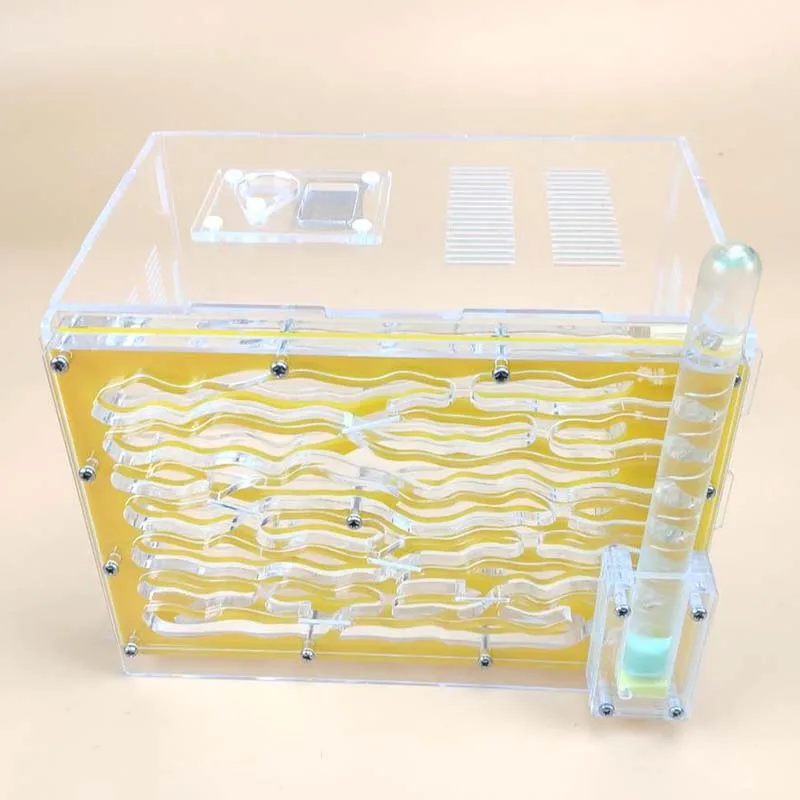 D Большой доступный DIY влага с области кормления Муравьиное гнездо, муравьиная ферма из акрила, насекомые муравьиные гнезда вилла домашнее животное мания для Домашние муравьи - Цвет: D