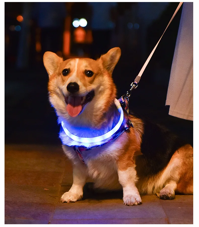 

LED Dog Collar USB Rechargeable Luminous Dog Collar Waterproof Luminous Collar Marquee D-shaped Tube Collar