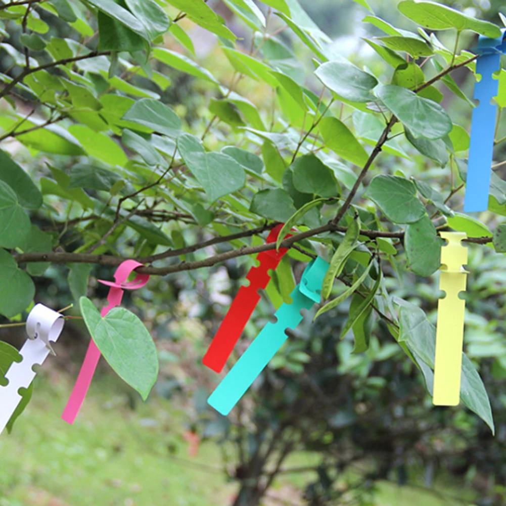 

100 Plant Labels Garden Nursery Labels Hanging Tree Markers Seedling Plants Fruit Tree Signs Prompt Classification Tool