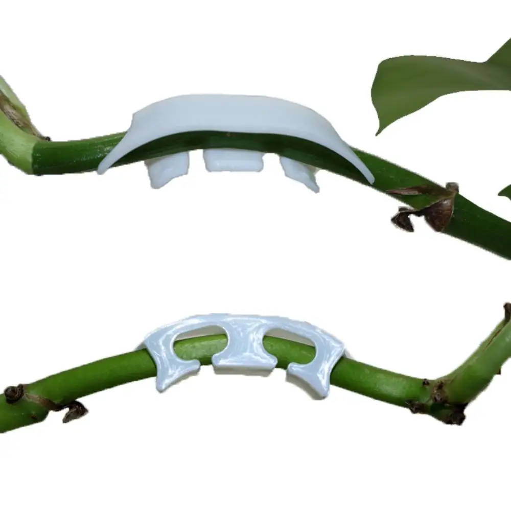 

10Pcs/Set Tomato Fruit Branches Strengthen Fixed Clip Cherry Fruit Vine Support Clip Fruits And Sprigs Reinforcement Tool