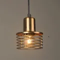 FRLED модная винтажная проволока лампа клетка DIY Абажур В индустриальном стиле Лампа защитная клетка абажур для лампы классический черный скандинавский чехол для лампы