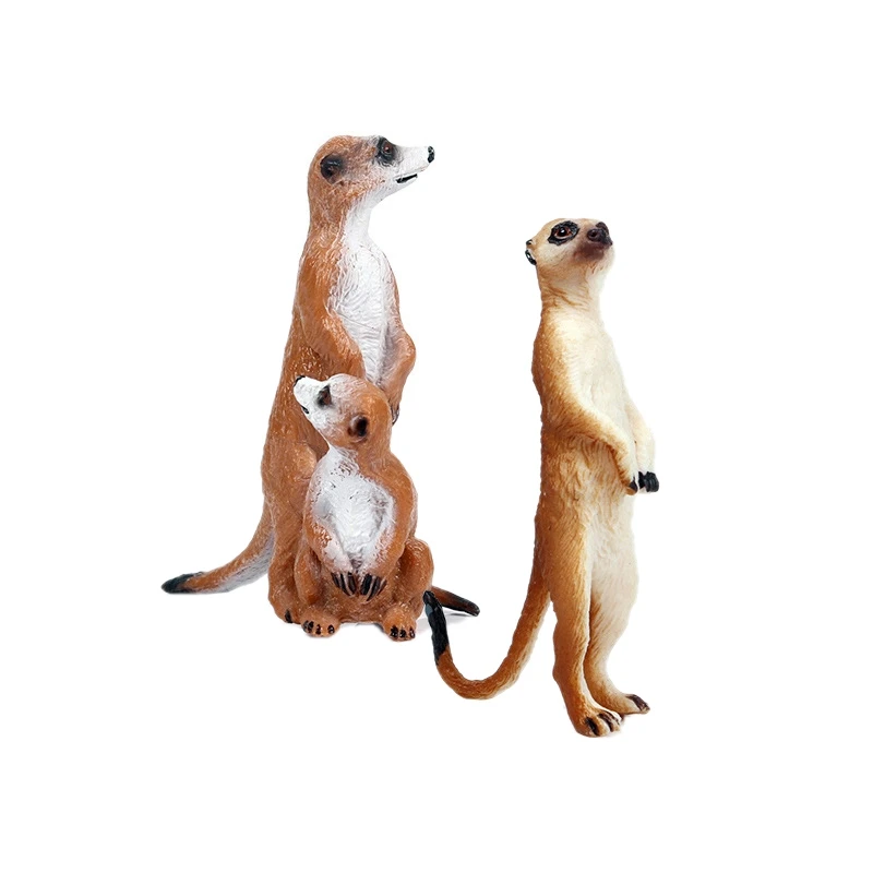 

Модель из ПВХ, милая маленькая сурикат, имитация диких животных, готовая коллекция, познавательная игрушка для детей