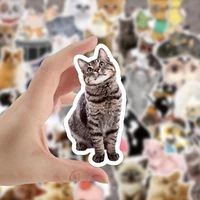 50pcsset cartoon cute cats stationery stickers for children kawaii kitten kitty pattern doodle stickers for laptop skateboard