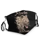 Маска для лица Hyena одноразовая, для Африки, сафари, дикой природы, пушистых животных, гиатен, защитный респиратор Muffle