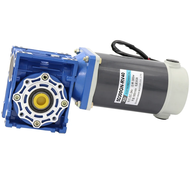 Rv30 Rv40 двигатель турбины постоянного тока с замедлением 12/24v300w, регулируемая скорость, двигатель постоянного тока, щеточка двигателя с постоянным магнитом, 300 Вт, IE 2 N.M