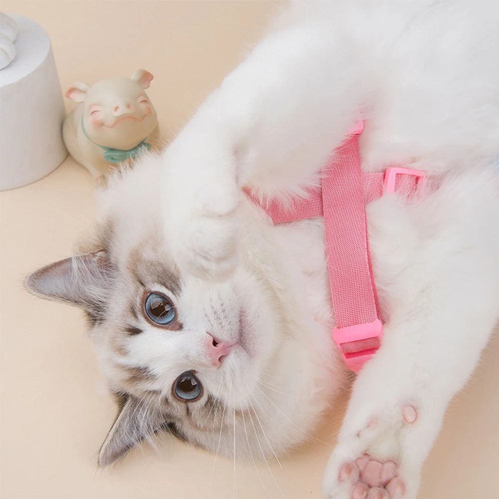 

Pet Dog Cat Supplies Clothes Dog Harness Breathable Mesh Vest Adjustable Dog Harness Chats Gatos Accesorios Perros Accesorios