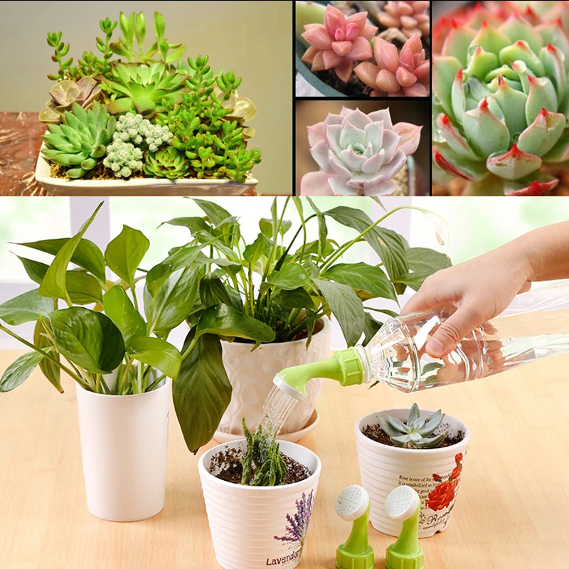 

New gardening flower supplies potted flower watering device creative sprinkler watering watering kettle small nozzle 2pcs