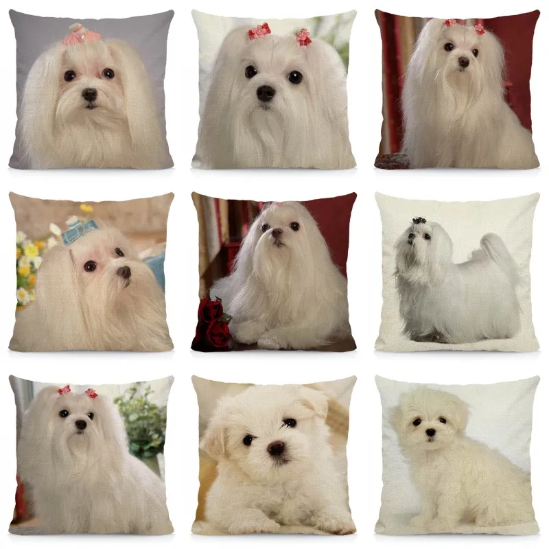 Cushion Cover 45x45cm Maltese Pillow Case Dog Pattern Decorative Pillows Sofa Car Chair Decor DWG047 |