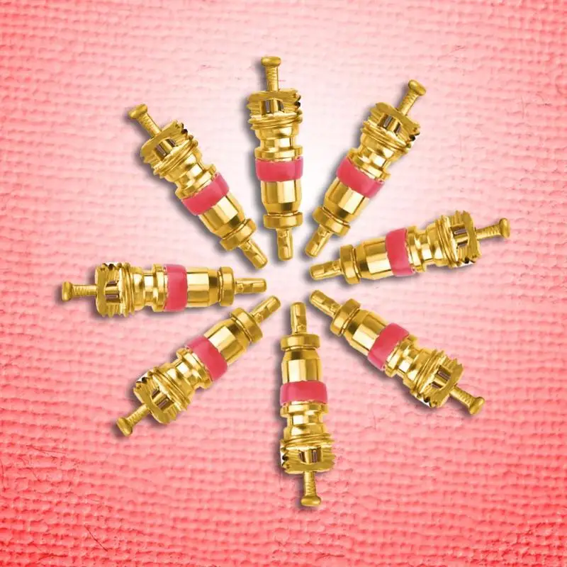 VODOOL 20 шт./компл. автомобильный Кондиционер сердечники клапанов Автомобиль