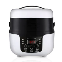 2l mini electric rice cooker portable smart food rice soup cooking machine for 24v car 220v home use lunch food heater warmer