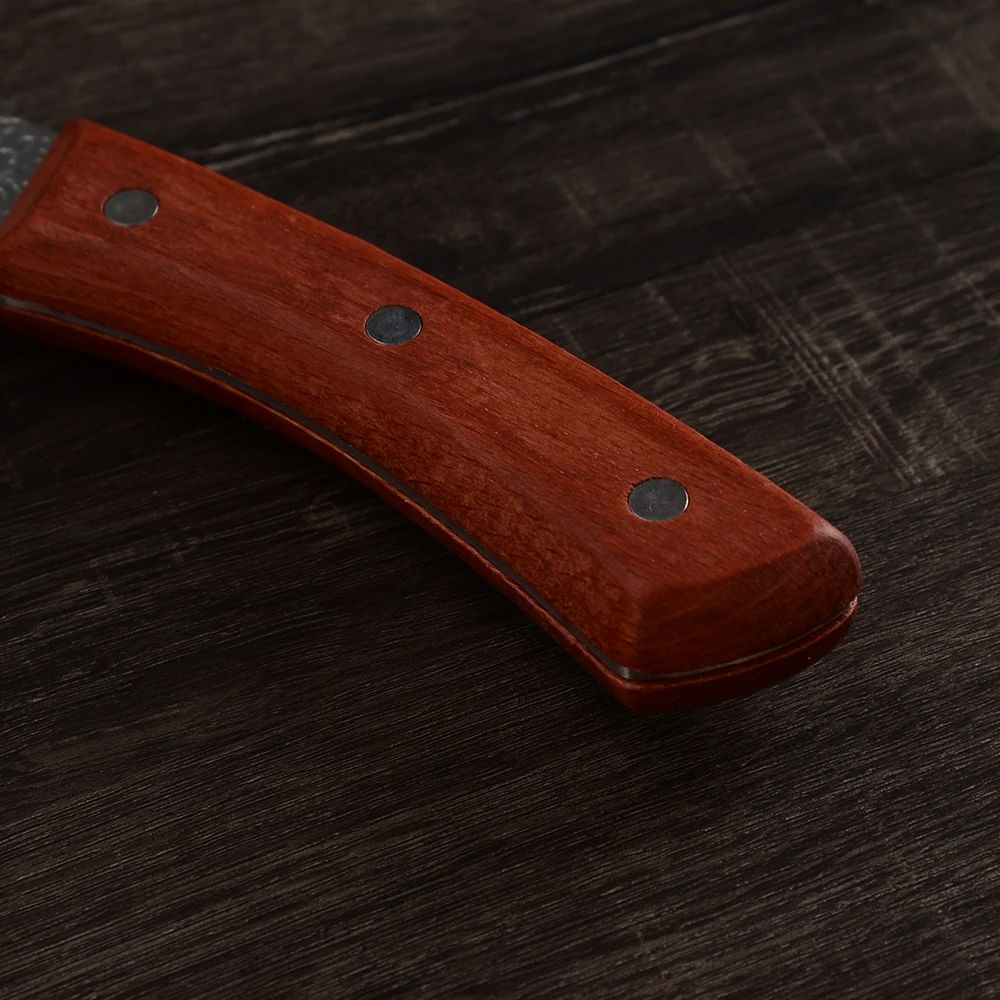 6 8-дюймовый кухонный нож для костей лезвие в форме клюва нарезки рыбы стейка