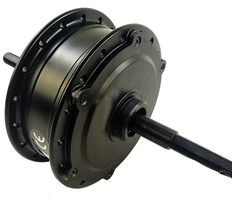 SDYITN 24 в 250 Вт бесщеточная шестерня умный мотор концентратор задний привод