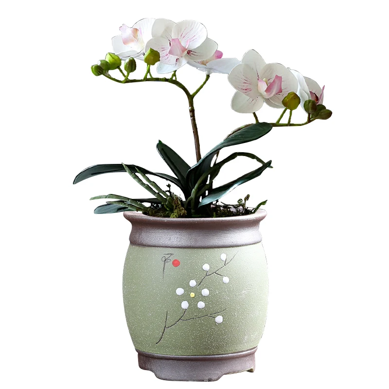 Специальные цветочные горшки керамическая посуда простой Орхидея хлорофитум