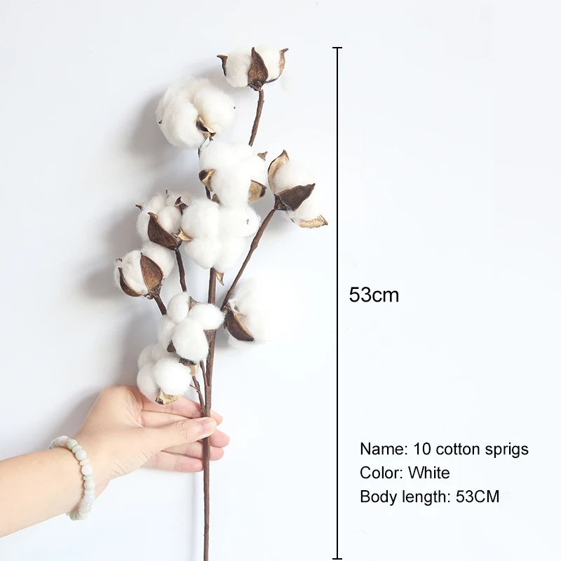 Сушеные цветы из натурального хлопка 10 головок искусственные растения Цветочная