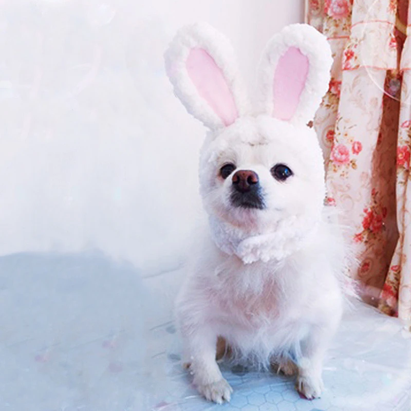 Aapet 1 шт. головной убор для домашних кошек милый костюм животных из