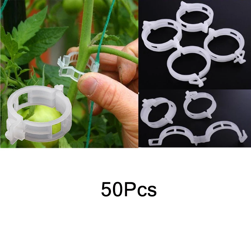 50pcs zhi wu jia 50/100Pcs Садоводство лоза вьющиеся растения кабельные стяжки линии завод кронштейны Запчасти бонсай огурец винограда из ротанга поддерживает ZXH - Цвет: 50pcs zhi wu jia