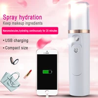 portable facial beauty instrument mini usb charging mobile power supply skin moisturizing nano spray ion beauty tool