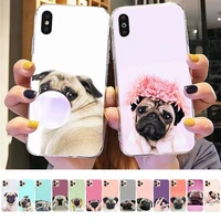 maiyaca pug dog phone case for iphone 11 12 13 mini pro xs max 8 7 6 6s plus x 5s se 2020 xr cover