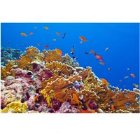colorful print wall tapestry underwater world tapestry m336
