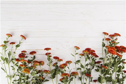 

SHENGYONGBAO Vinyl Custom Photography Backdrops Prop flower and Wood Planks theme Photo Studio Background S191020-16589